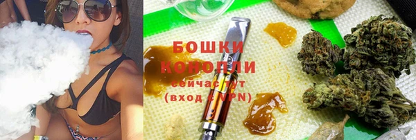 ПСИЛОЦИБИНОВЫЕ ГРИБЫ Балахна