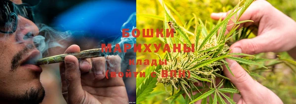 ПСИЛОЦИБИНОВЫЕ ГРИБЫ Балахна