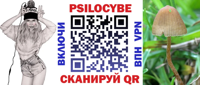 Купить закладки  Сунжа  Псилоцибиновые грибы ЛСД 