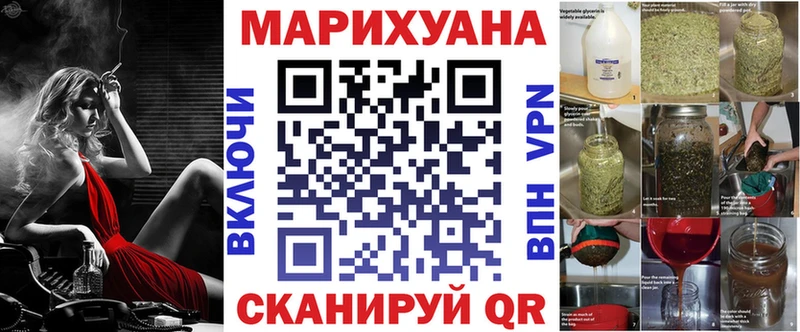 Купить где  Сунжа  Канабис индика 